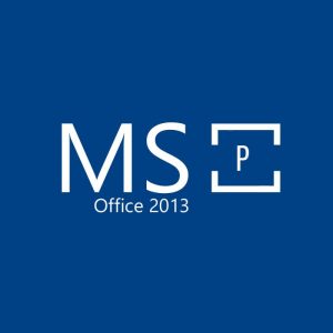 MS Office 2013 Professional OEM Key