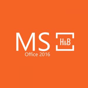 MS Office 2016 Home and Business Retail Key